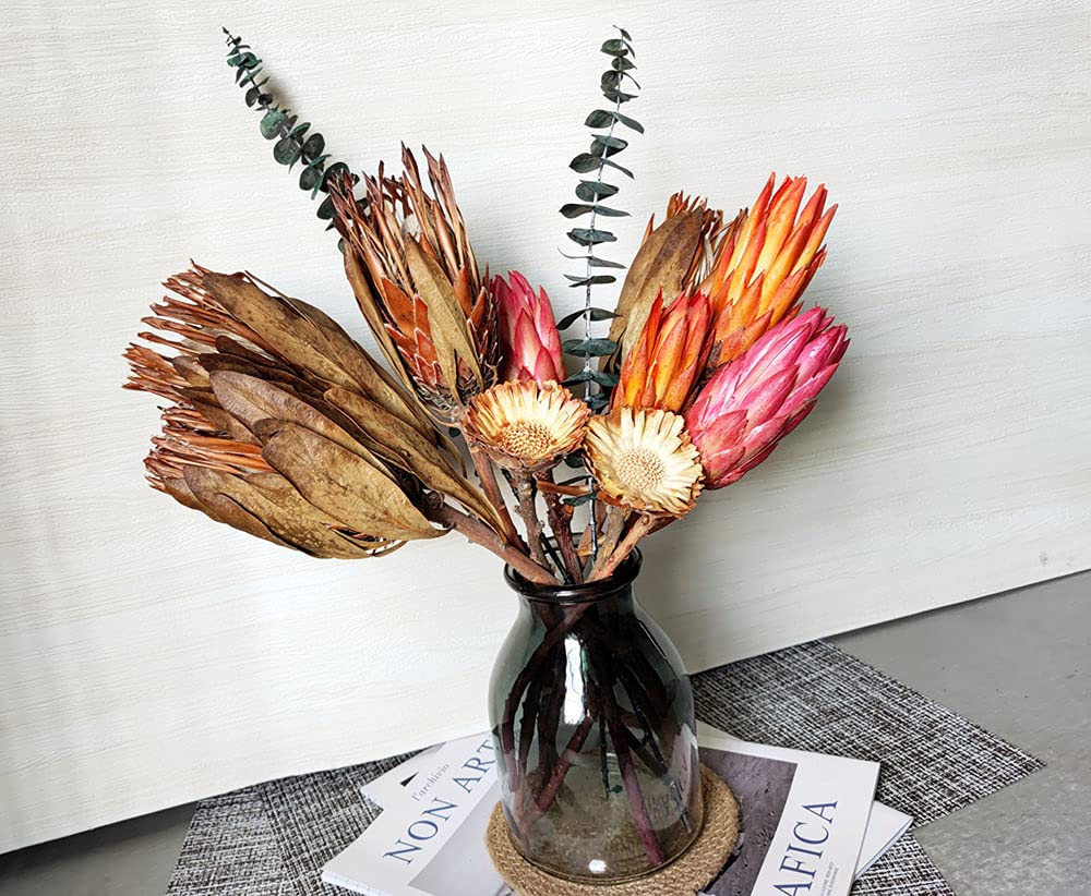 4PCS Dried Protea Flowers Natural Decor Vase Arrangement