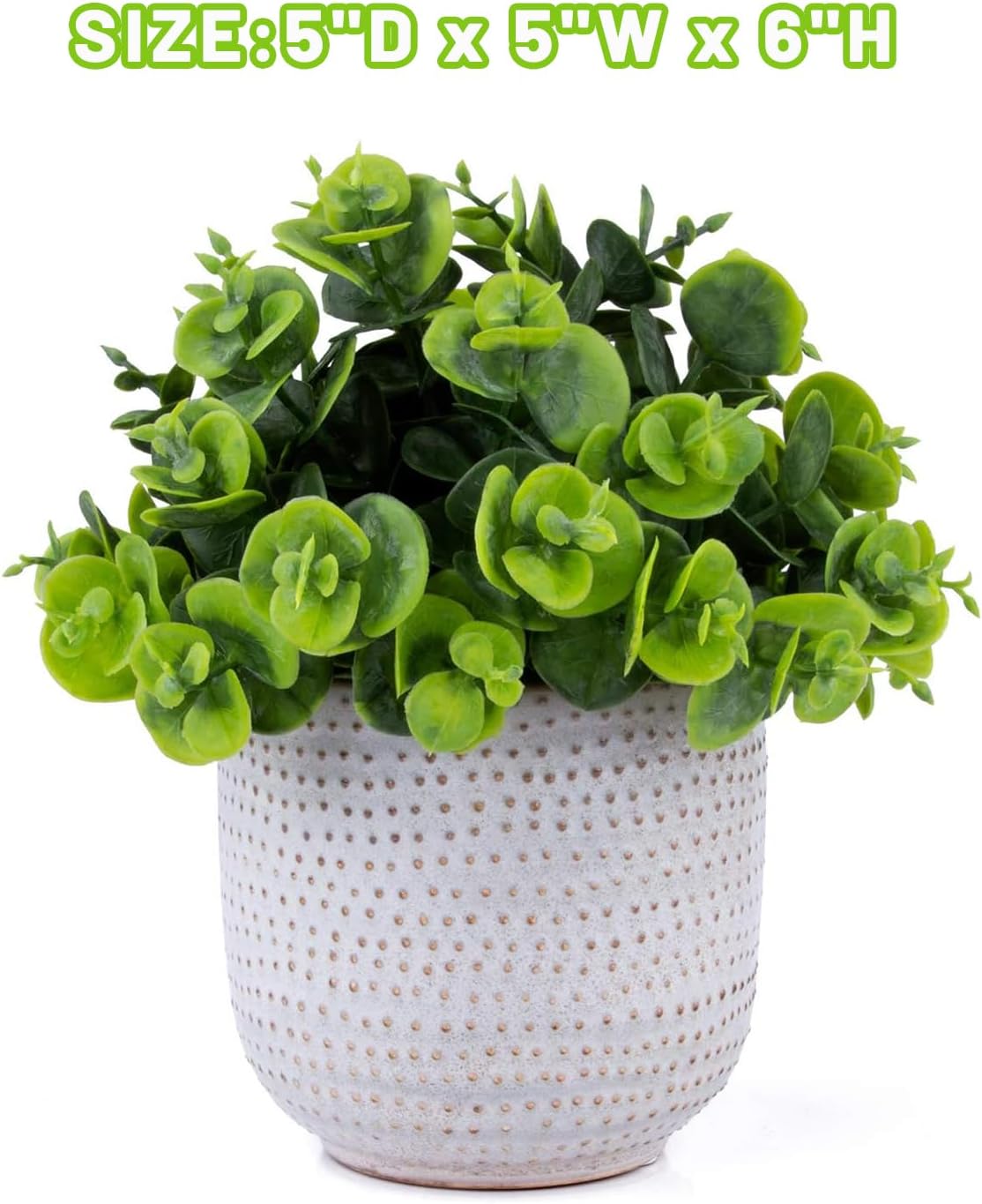 Cute Artificial Lysimachia Plants in Ceramic Planter