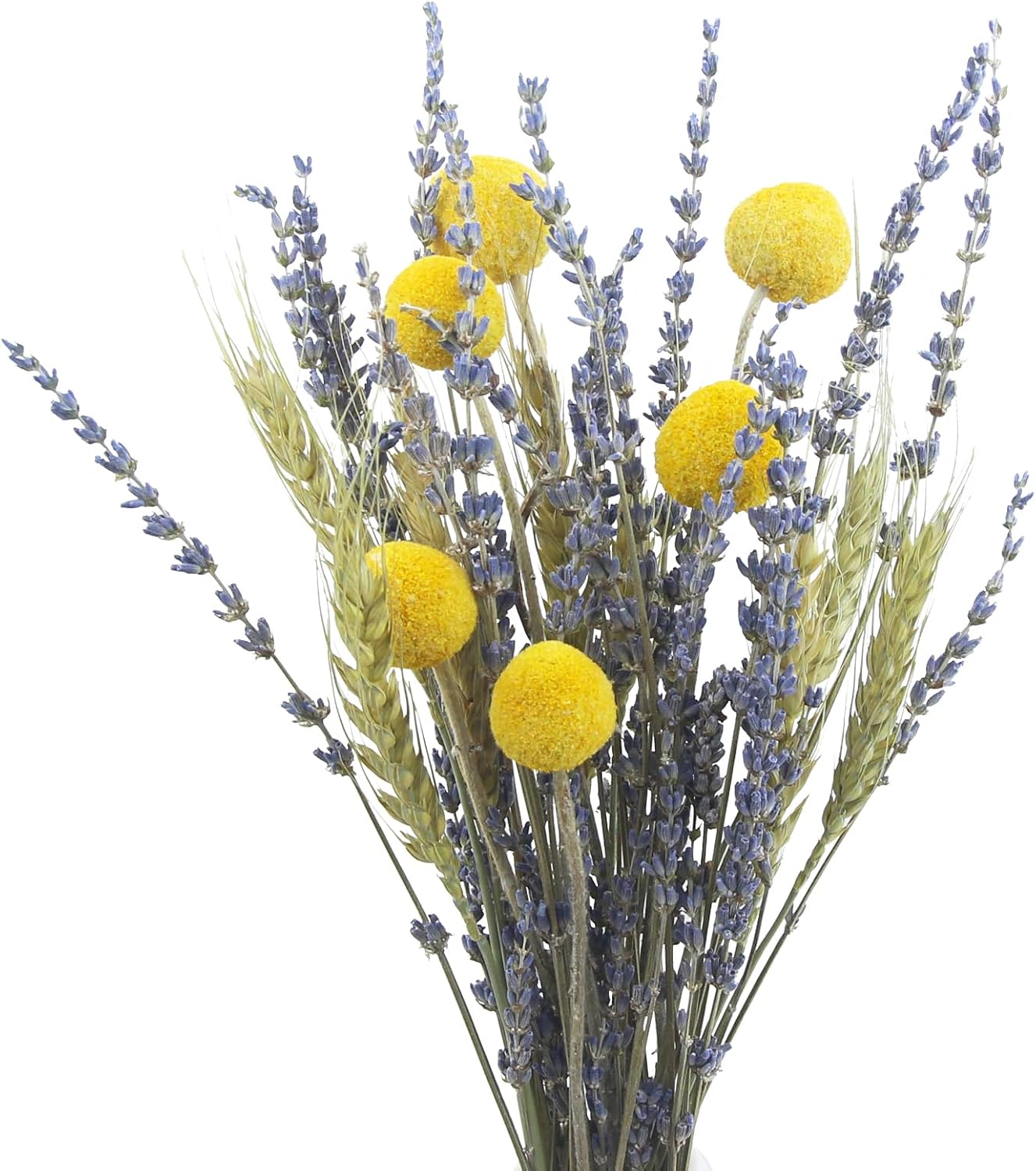 CISDUEO Natural Dried Flower Bouquet with Wheat Stalks and Lavender