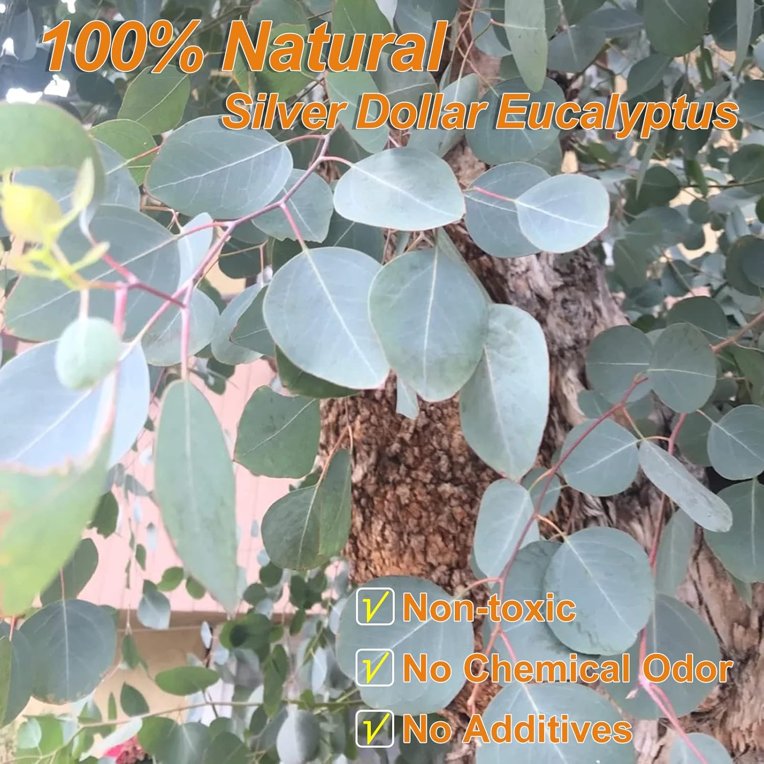 Saipro Dried Eucalyptus Stems for Wreath and Home Decor