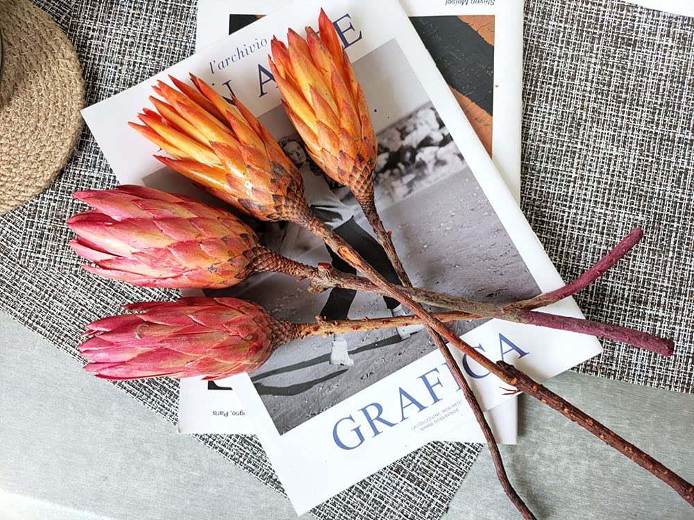4PCS Dried Protea Flowers Natural Decor Vase Arrangement