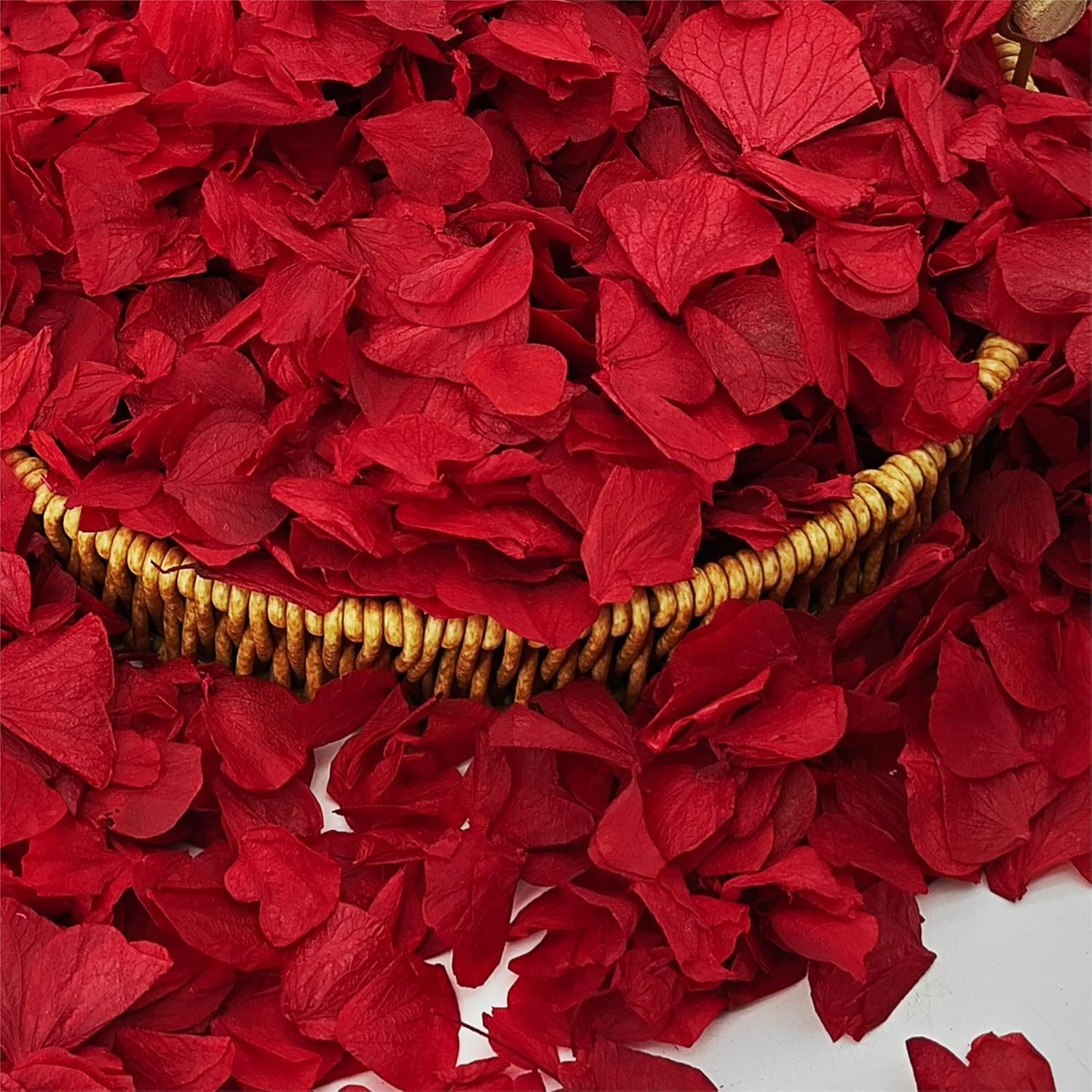 1500Pcs Real Dried Red Hydrangea Petals Natural