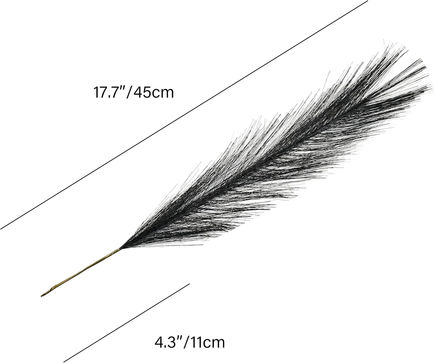 Mandys Black Silk Pampas Grass Bouquet 20 Stems