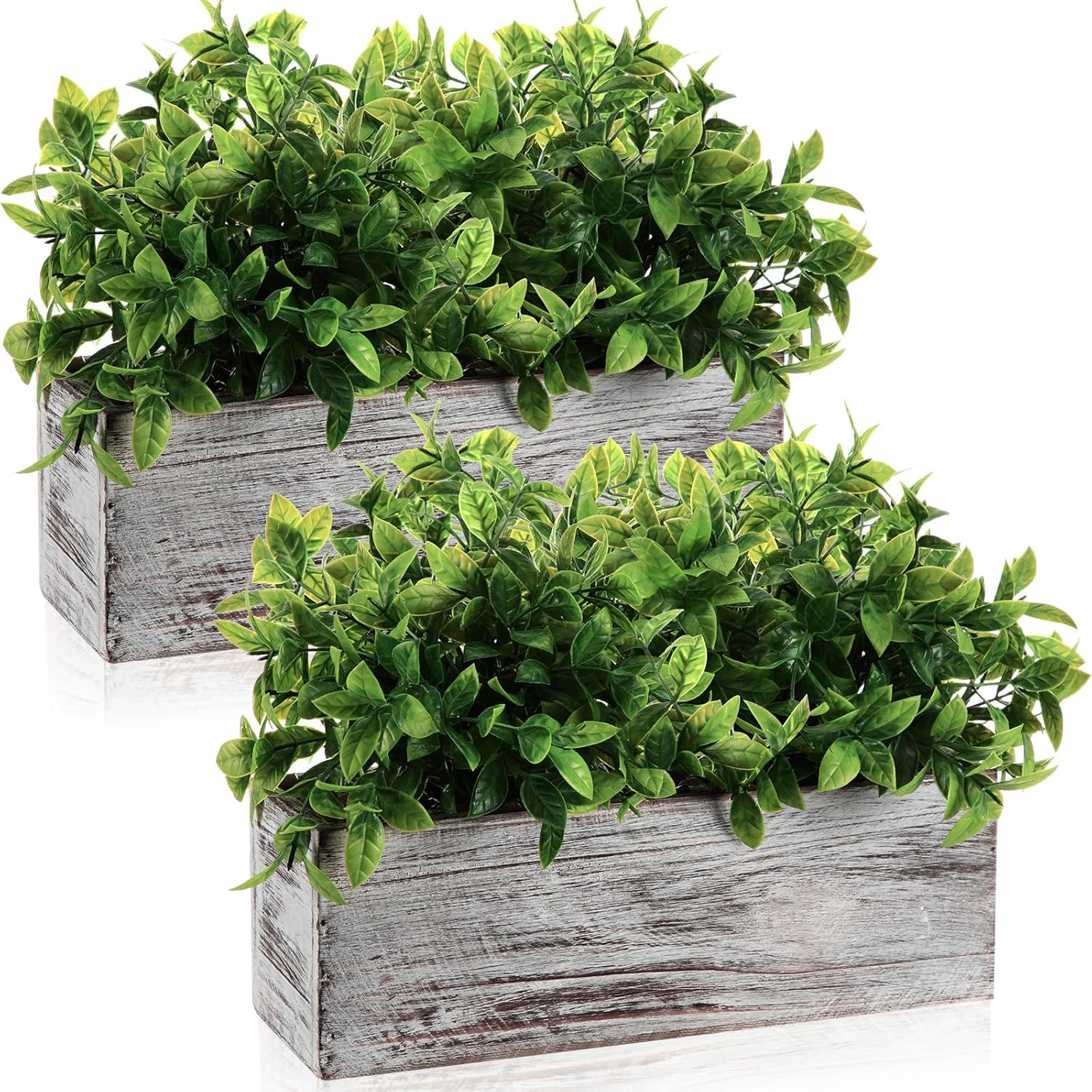 Lyrow 2 Pack Artificial Eucalyptus Plants in Wooden Pots