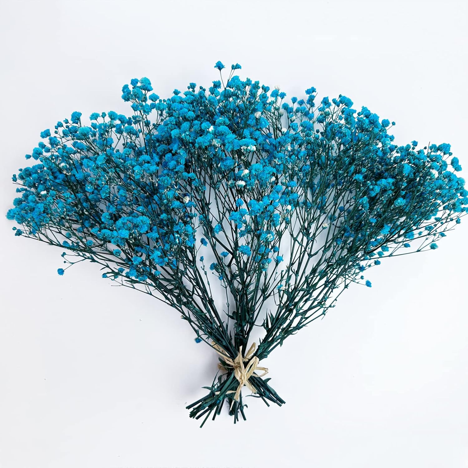 Preserved Babys Breath Flower Bunches Light Blue 3-Pack 12 Inches Tall