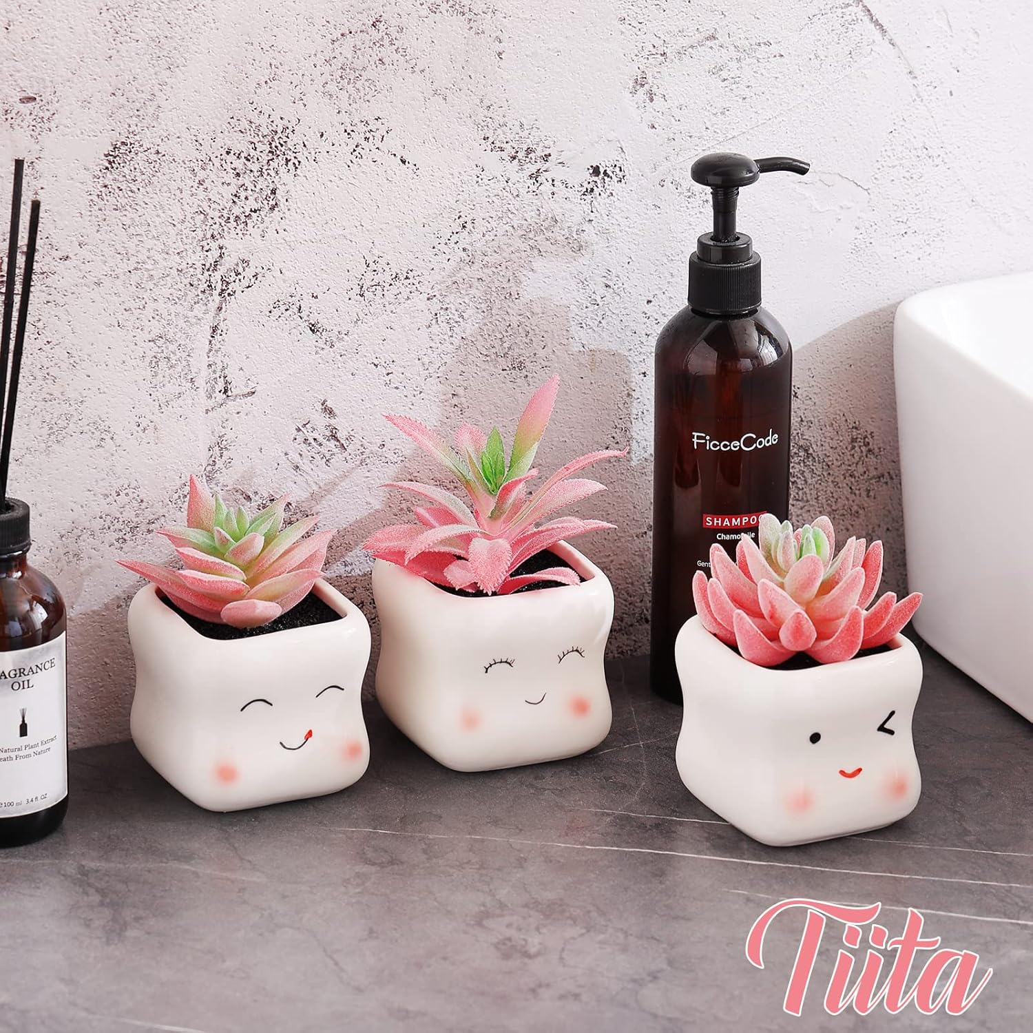 Tiita Cute Artificial Succulents in Ceramic Pots