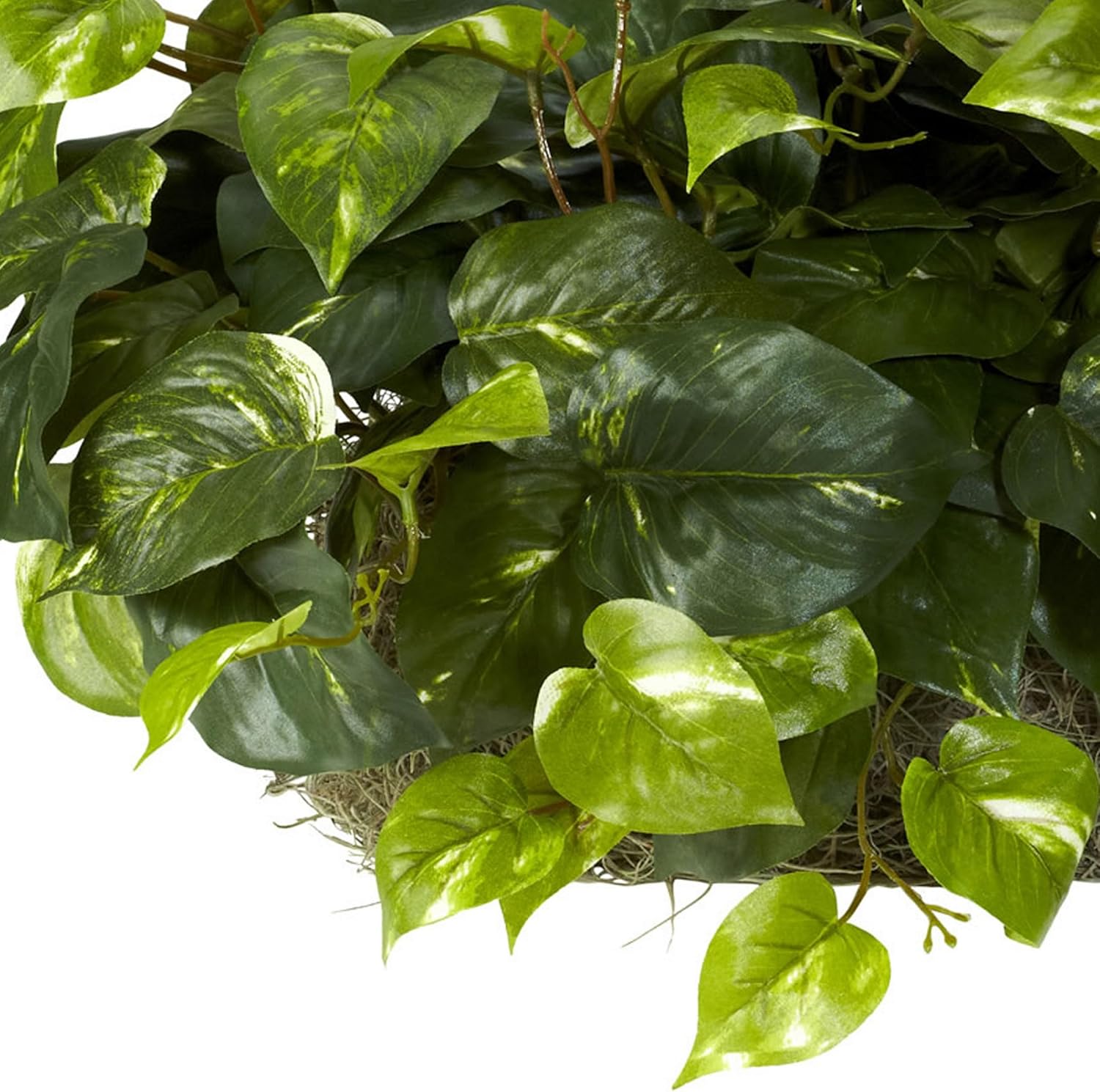 Nearly Natural 15in Pothos Ledge Plant Silk Green