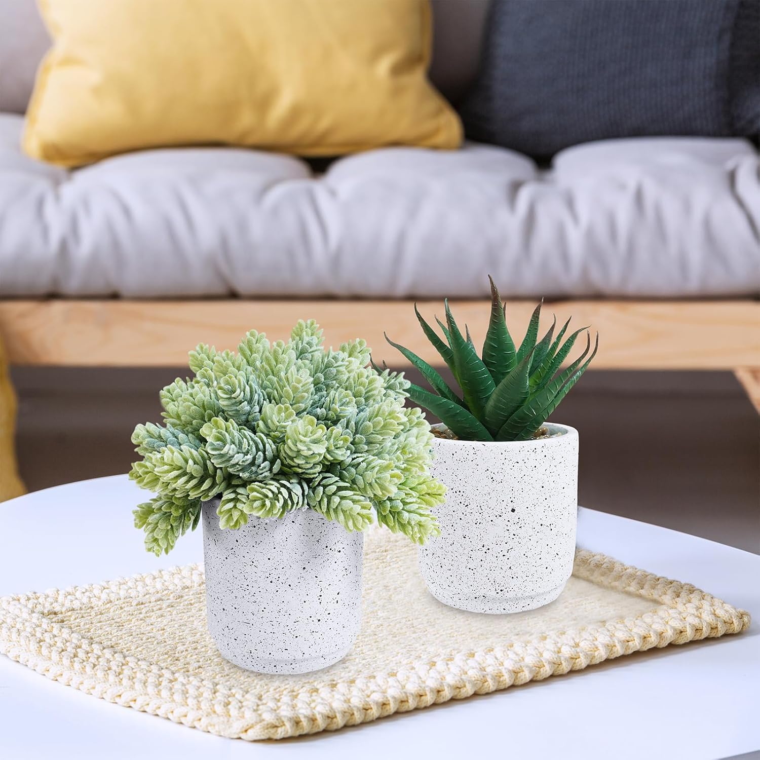 Winlyn Set of 3 Artificial Succulent Plants in White Cement Pots