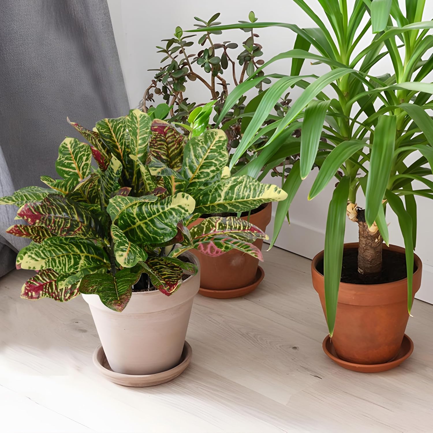 Artificial Croton Plant Leaf Branches 2 Pack
