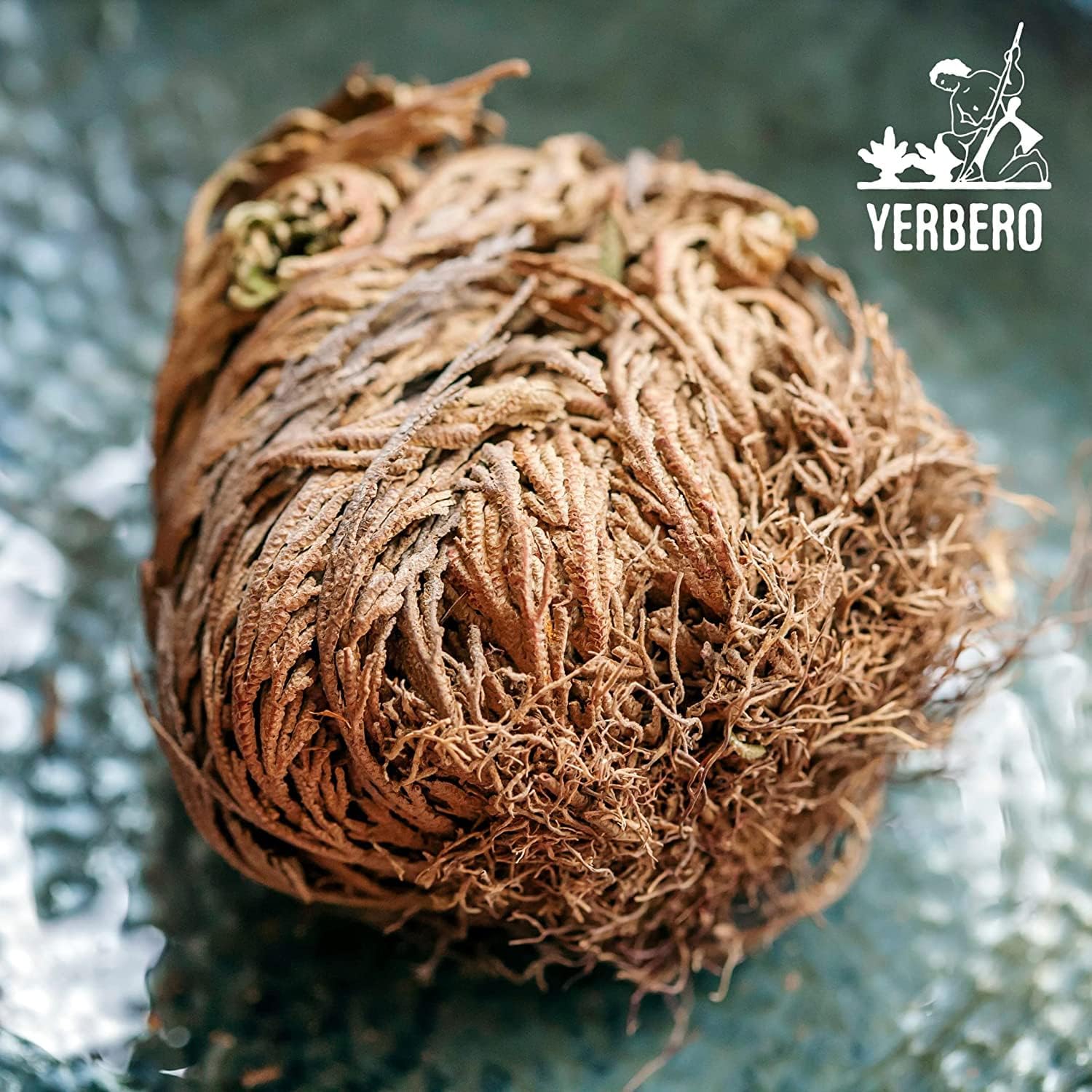 Yerbero 2 Pack Big Rose Jericho Dried Flowers