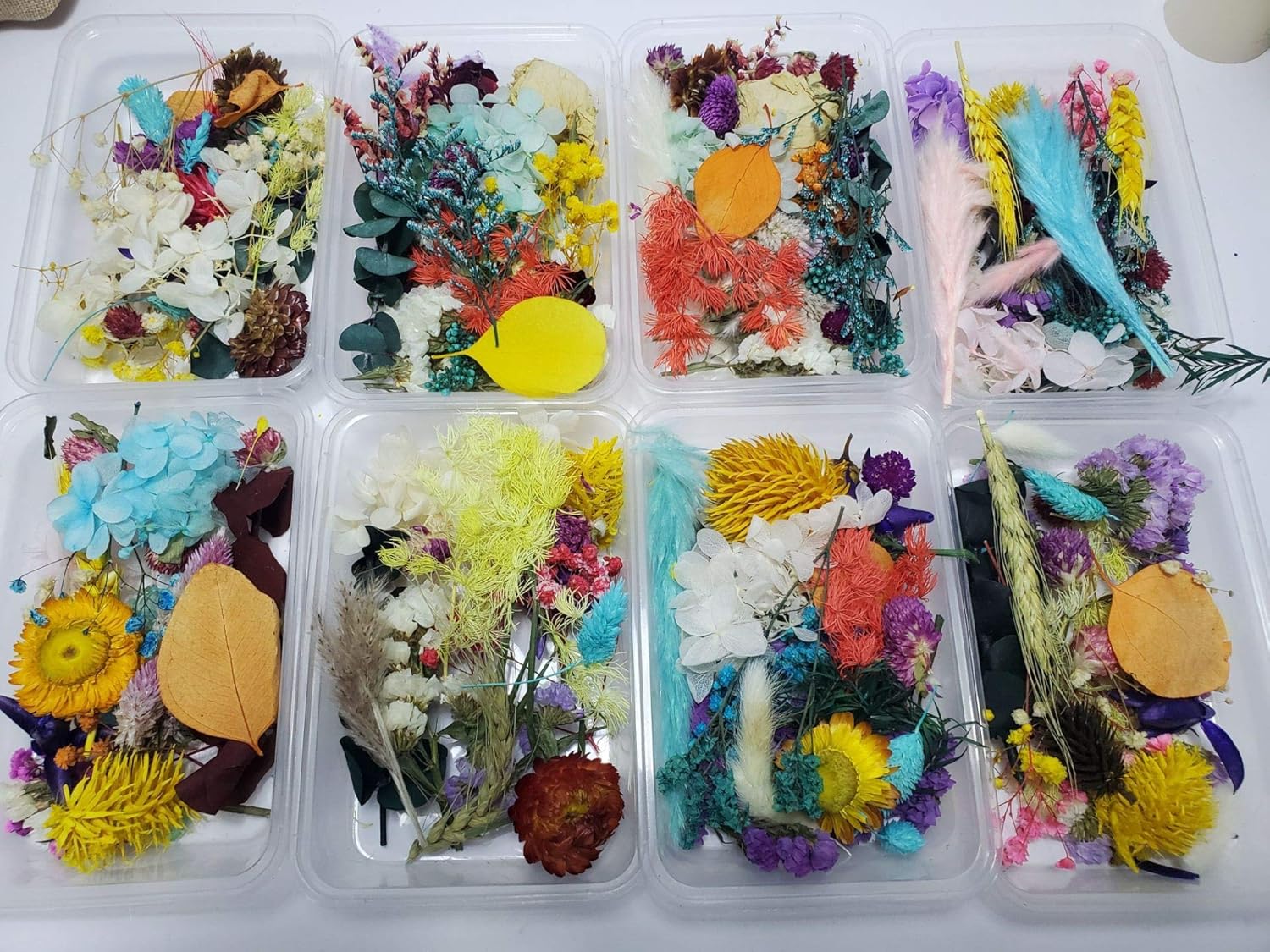 Sorrento Crafts Dried Flowers for DIY Decor Projects