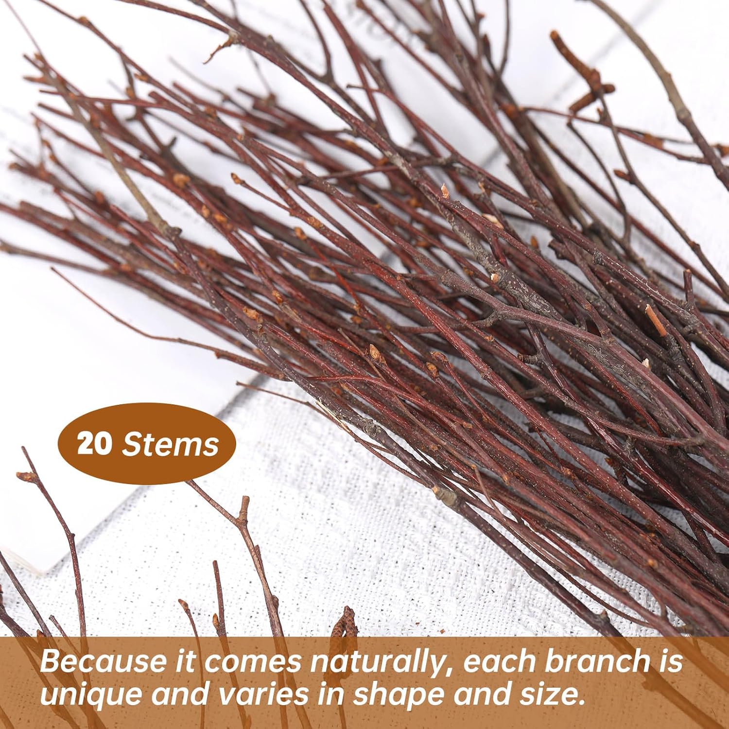 20Pcs Real Dried Birch Twigs - 17 Inch Natural Decorative Branches for Vase and DIY Crafts
