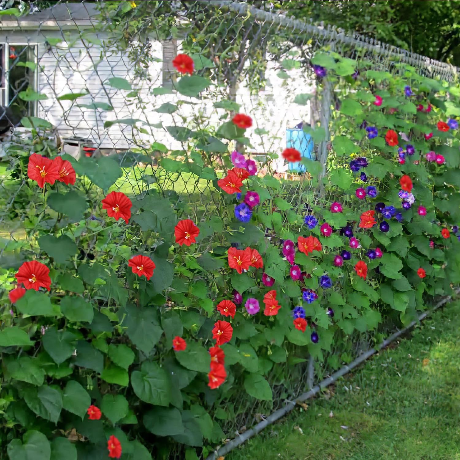 CISDUEO 2 Pcs Artificial Vines for Outdoor Decor