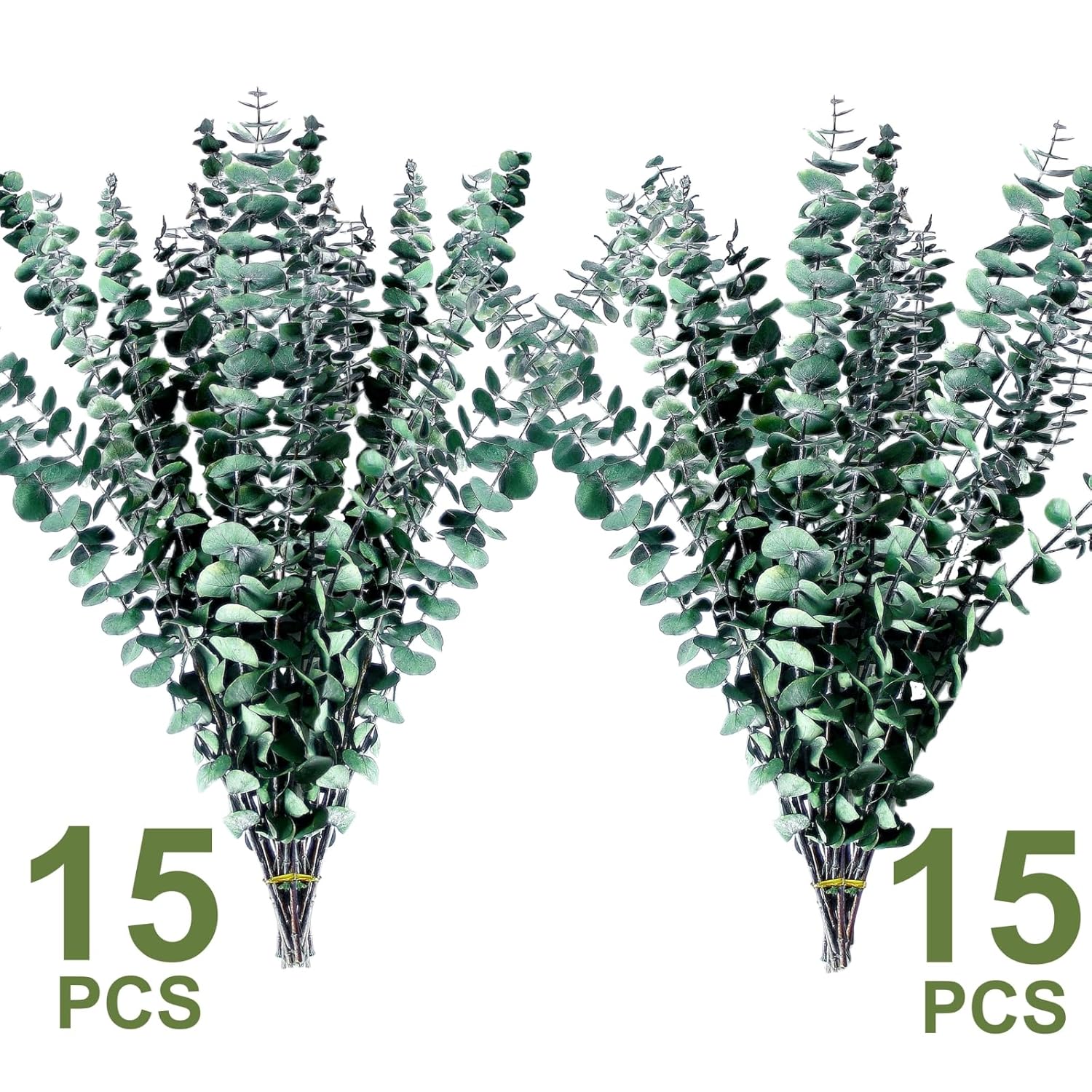 30PCS Dried Preserved Eucalyptus Plants for Decor