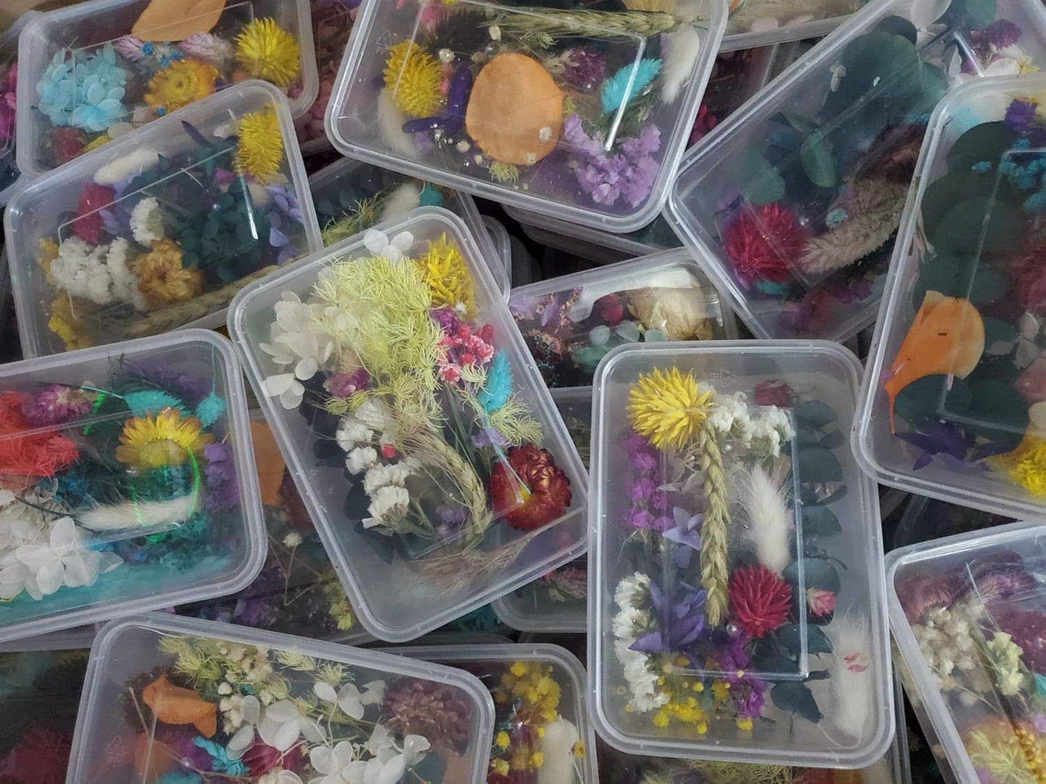 Sorrento Crafts Dried Flowers for DIY Decor Projects