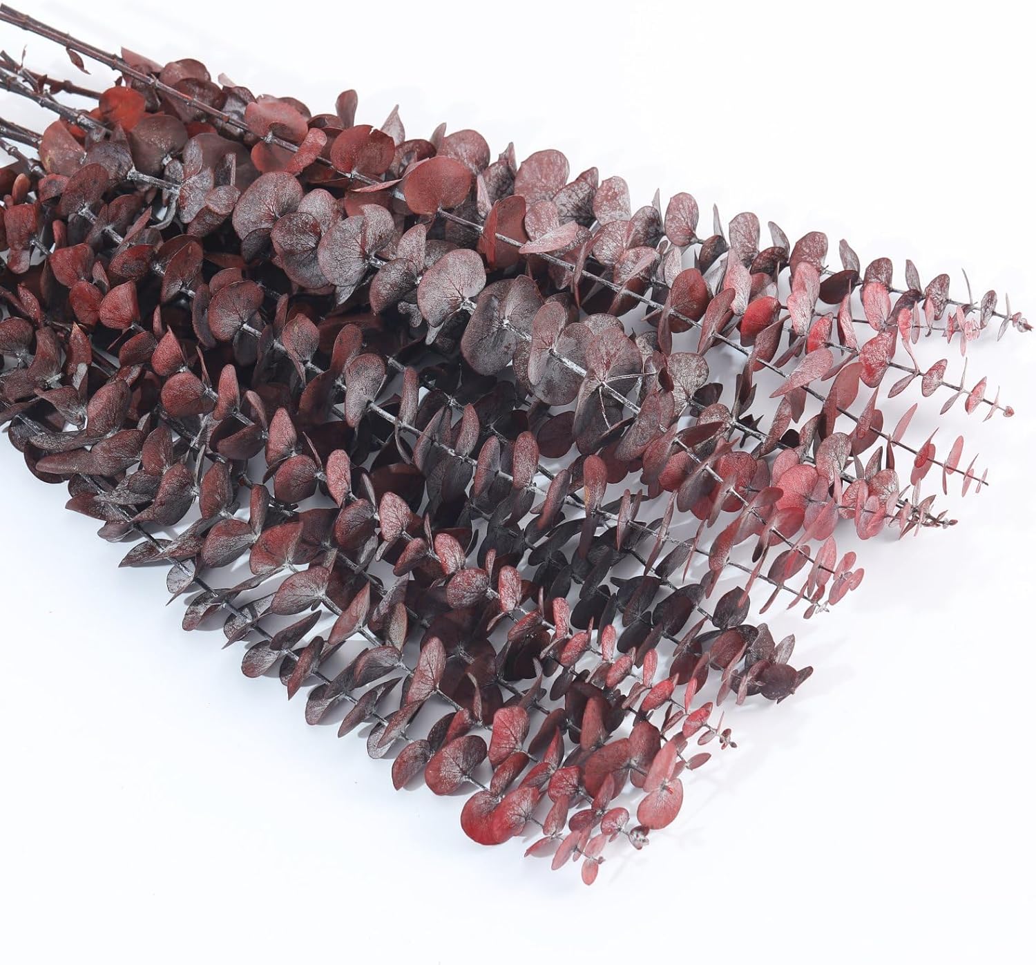 16 Pcs Preserved Eucalyptus Stems for Home Spa Decor