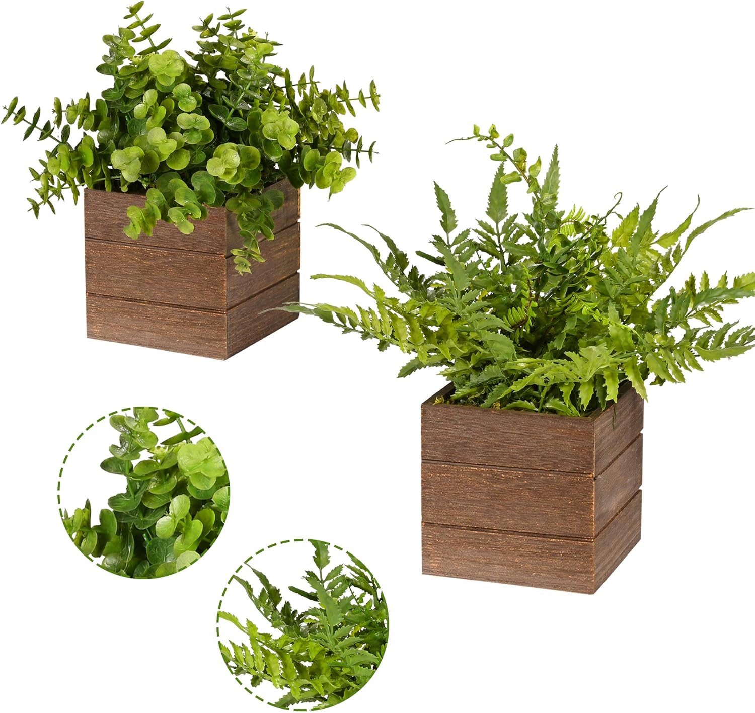 Vlorart 2Pack Mini Artificial Boxwood Fern Plants