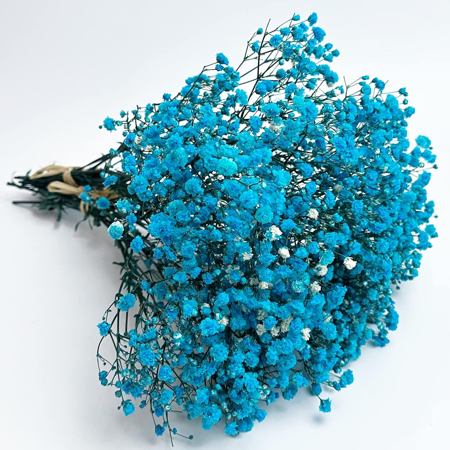 Preserved Babys Breath Flower Bunches Light Blue 3-Pack 12 Inches Tall