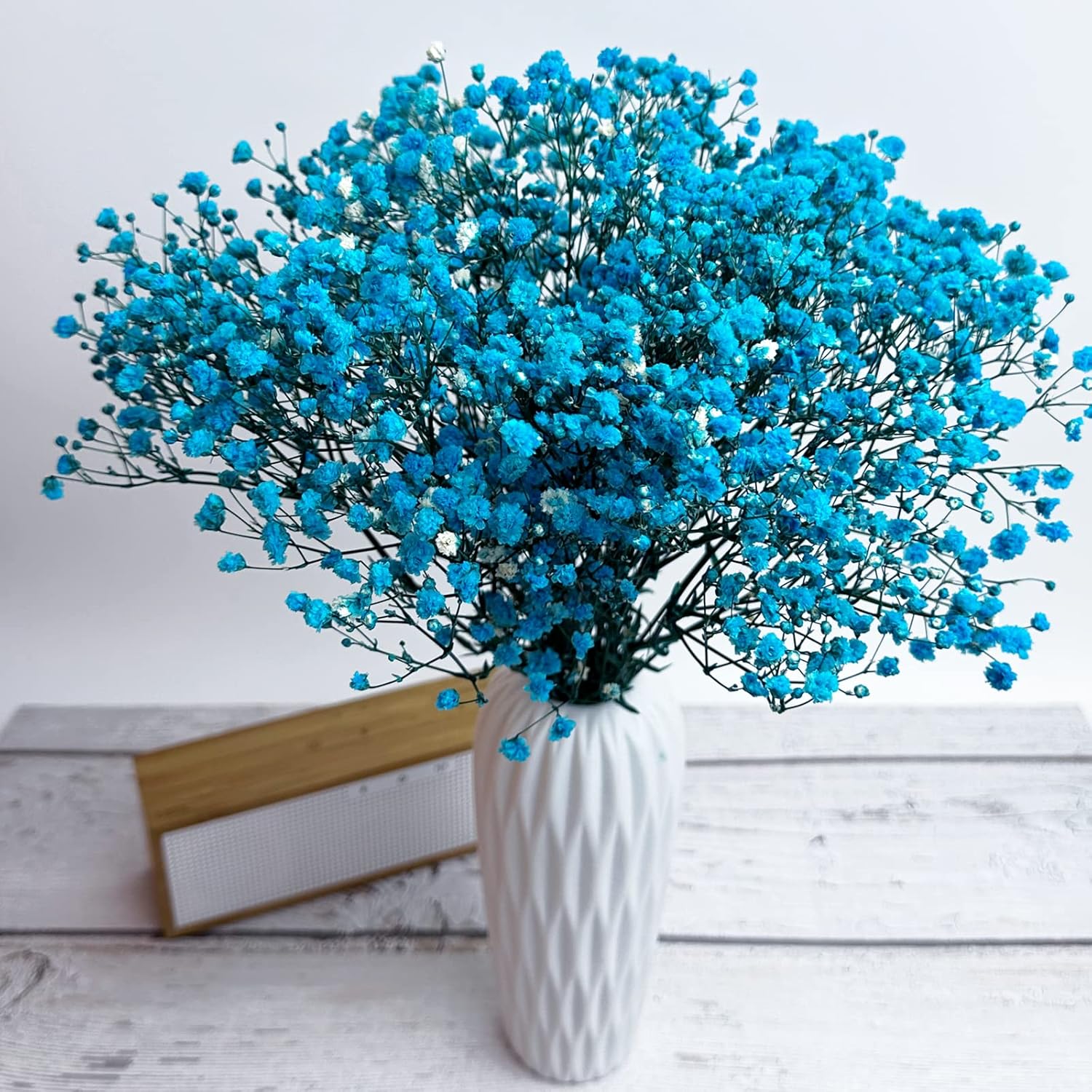 Preserved Babys Breath Flower Bunches Light Blue 3-Pack 12 Inches Tall