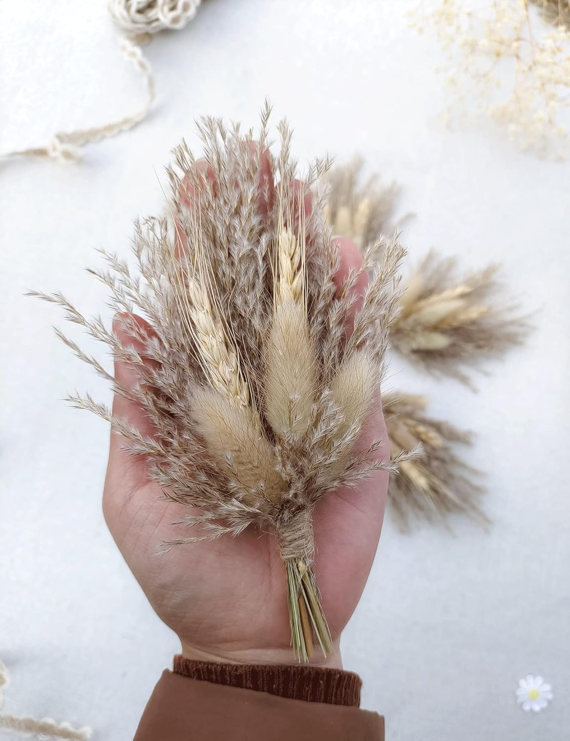 Mini Dried Flower Bouquet Pack of 6 Brown Pampas