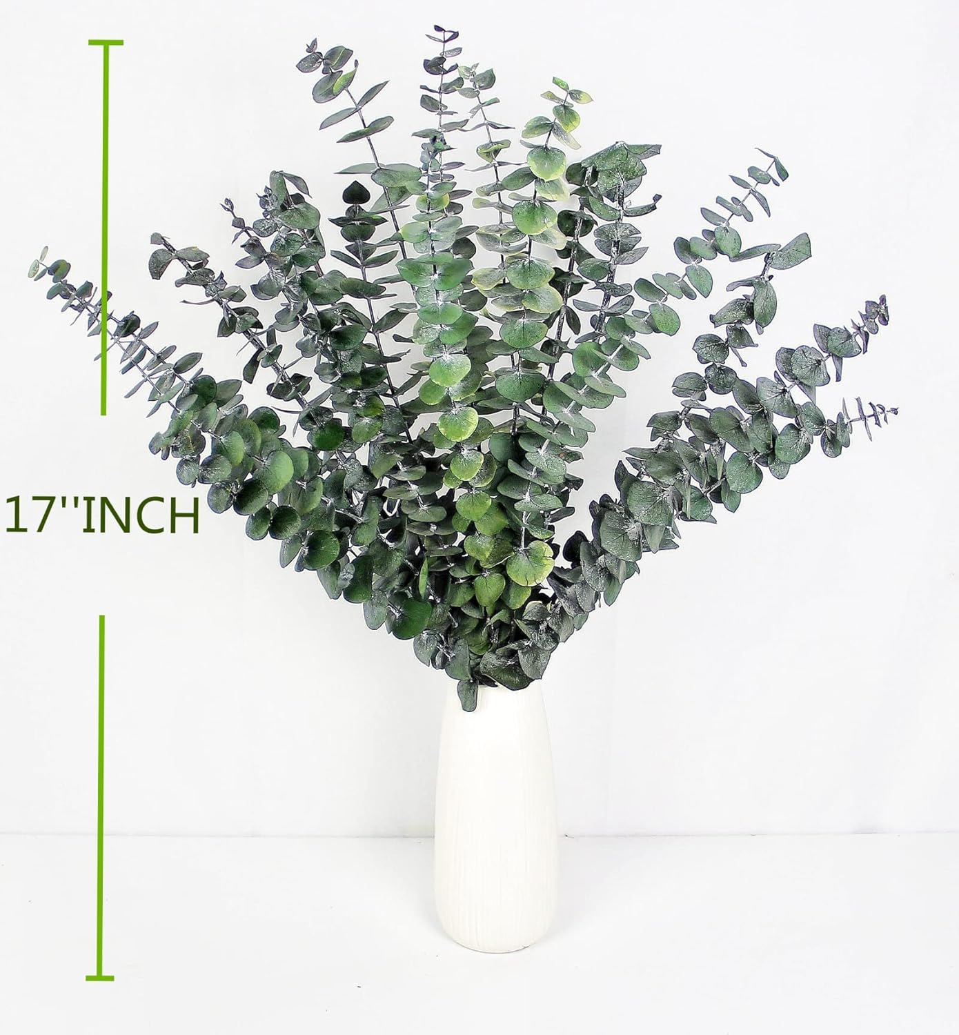 30PCS Dried Preserved Eucalyptus Plants for Decor