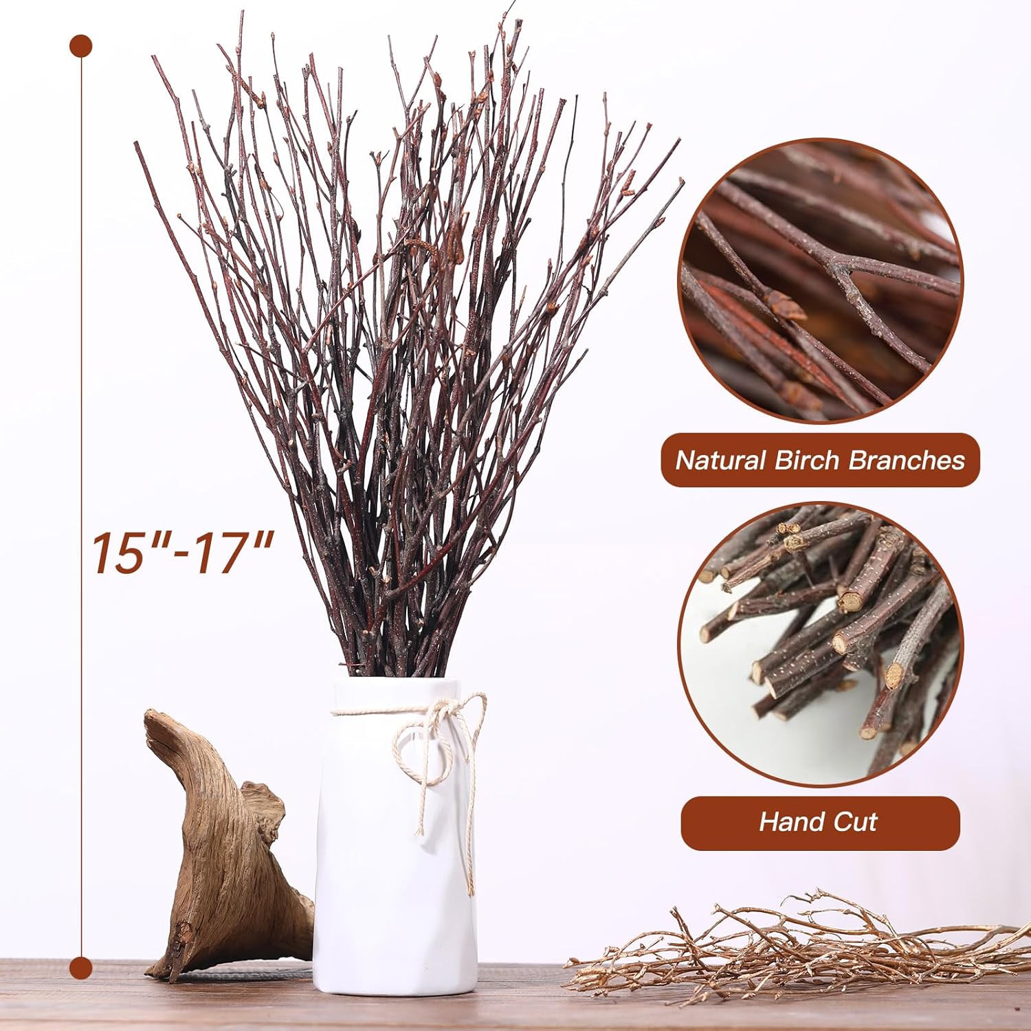 20Pcs Real Dried Birch Twigs - 17 Inch Natural Decorative Branches for Vase and DIY Crafts
