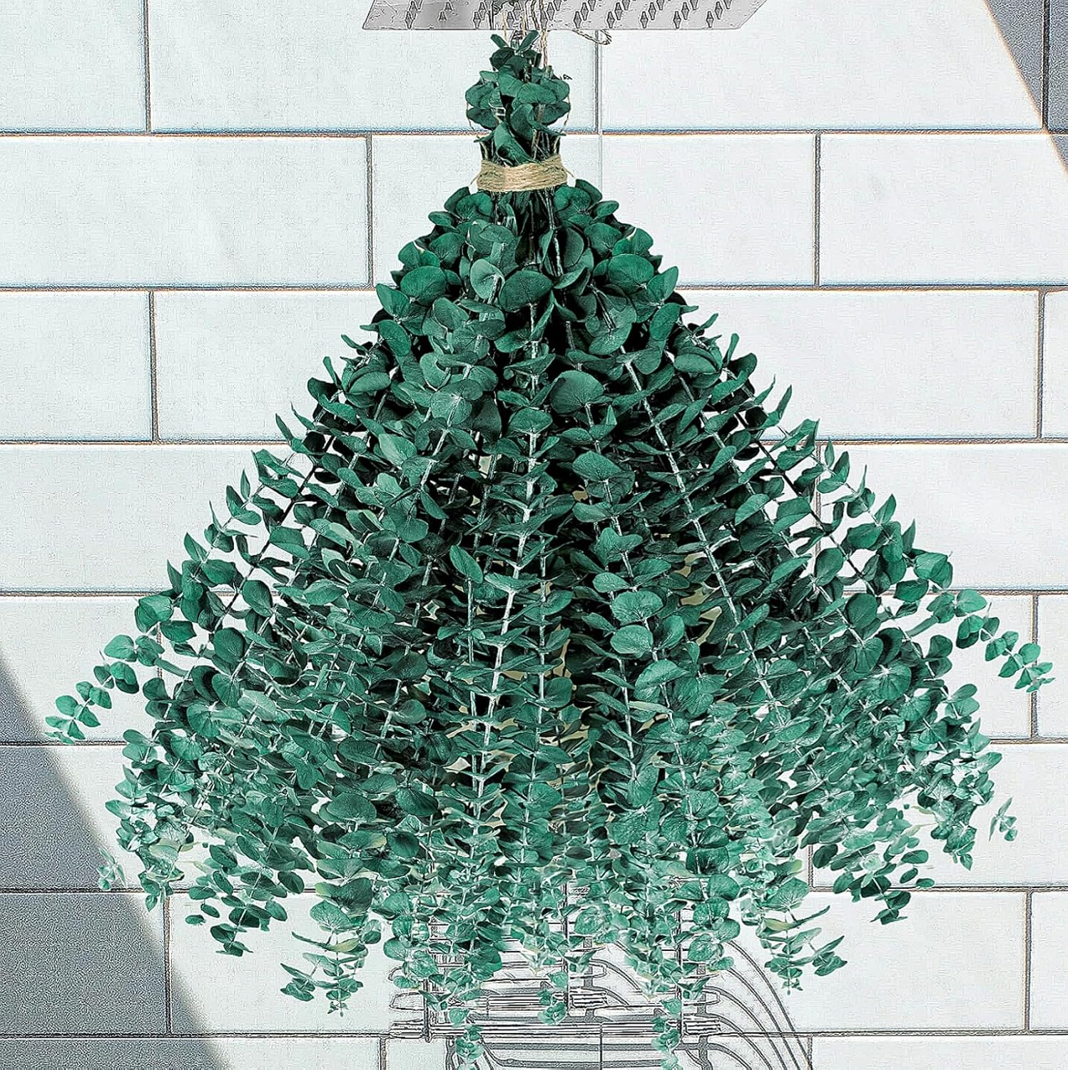 30PCS Dried Preserved Eucalyptus Plants for Decor