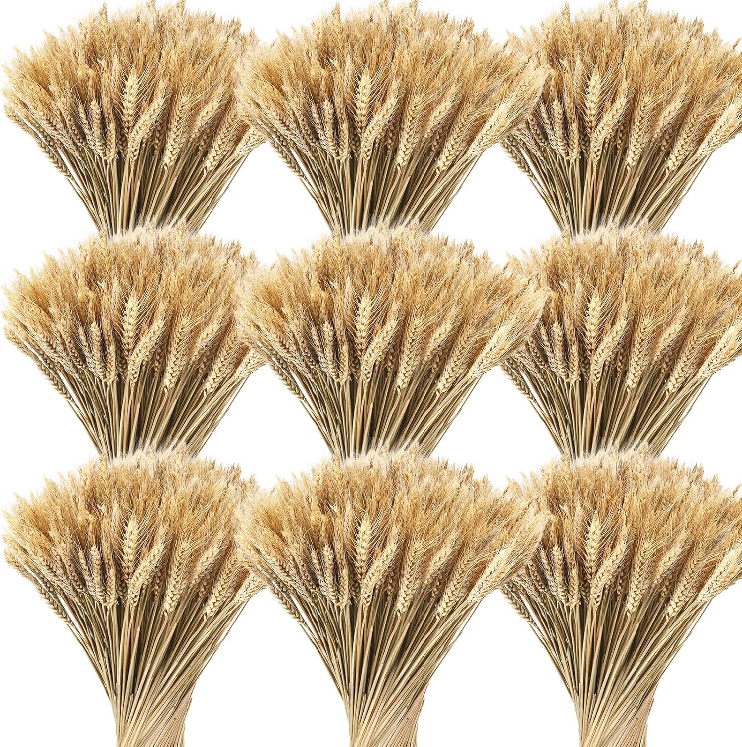 Geosar 600 Stems Dried Wheat Stalks Decor Bundle