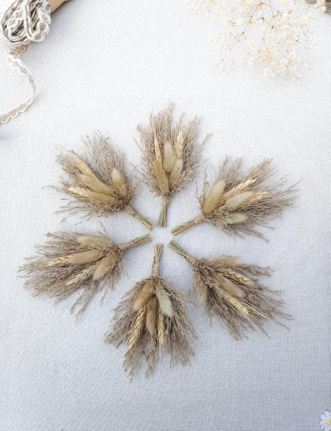 Mini Dried Flower Bouquet Pack of 6 Brown Pampas